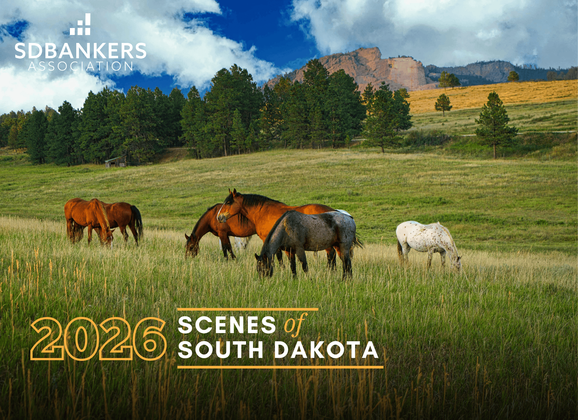 Calendar 2026 Calendar COVER 